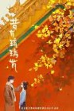 Drama China Memory of Encaustic Tile 2022