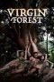 Virgin Forest 2022