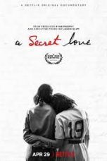A Secret Love 2020
