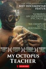 My Octopus Teacher 2020