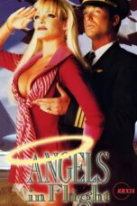 Film Semi USA Angels in Flight 1995