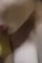 Bokep Viral Tiktok Terbaru Sepong Kontol di Kost