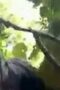 Viral Abg Berbuat Di Hutan Viral Abg Berbuat Di Hutan