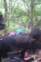 ABG Ngewe Sama Kakek Di Gunung ABG Ngewe Sama Kakek Di Gunung
