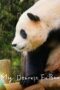 Film Online My Dearest Fu Bao (2024) Sub Indo