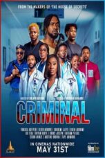 Film Sub Indo Criminal (2024)