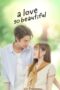 Drama Thailand A Love So Beautiful (2024) Drama Thailand A Love So Beautiful (2024)