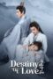 Drama China Destiny of Love (2025) Drama China Destiny of Love (2025)