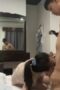 Bokep Indo Kenangan Bersama Mantan Yang Cantik Bokep Indo Kenangan Bersama Mantan Yang Cantik