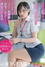 Haru Shibasaki Akuntan Yang Bisa Dipake (2025)