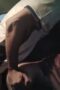 Ukhti Jilbab Coklat Ngewe Dalam Mobil Ukhti Jilbab Coklat Ngewe Dalam Mobil