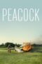 Peacock (2025) Peacock (2025)