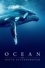 Ocean with David Attenborough (2025)