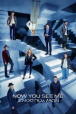 Now You See Me Now You Don't (2025)