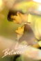 Love Between Lines (2026) Love Between Lines (2026)