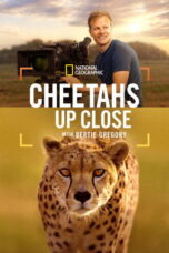 Cheetahs Up Close with Bertie Gregory (2026) Cheetahs Up Close with Bertie Gregory (2026)