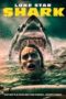 Lone Star Shark (2025) Lone Star Shark (2025)