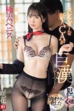 JAV Sub Indo Emika Shirakami Pramugari Cantik Tubuh Ramping Jadi Simpanan Manager