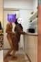 Video bokep malaysia jilbab gaya doggystyle Video bokep malaysia jilbab gaya doggystyle