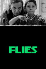 Flies (2026) Flies (2026)