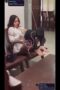Disuruh Main Ke Rumah Tante Disuruh Main Ke Rumah Tante